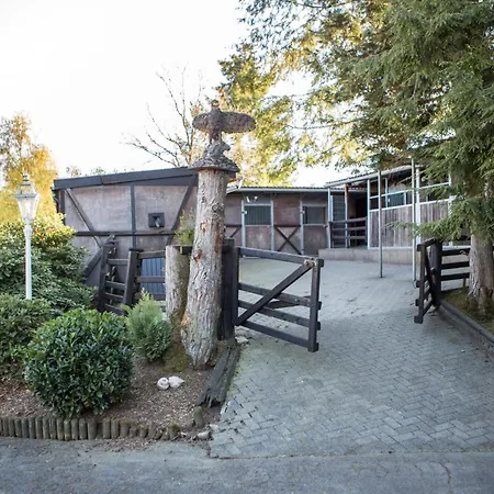 Naturnahes Am Hoehenflug ماينرتسهاغن